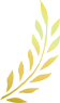   ̹